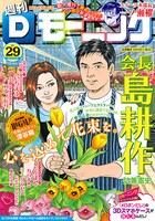 Dモーニング29号