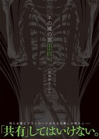 「ネの國の雲」