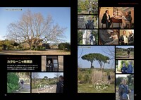 「再訪 井上雄彦 pepita3」より。