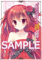 月刊コミックアライブ8月号付録「精霊使いの剣舞」のビジュアルブック。