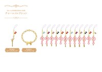 Blu-ray初回限定豪華版に付いてくるチャームコレクションのイメージ。