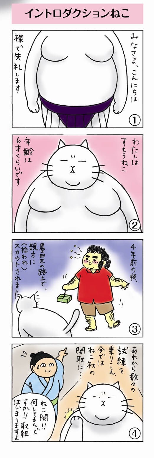 「すもうねこ」試し読み