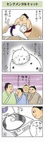 「すもうねこ」試し読み
