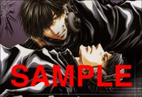 「WILD ADAPTER」ポストカードブックの1枚。