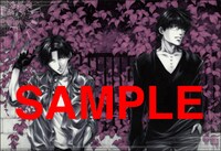 「WILD ADAPTER」ポストカードブックの1枚。