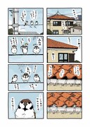 「きょうのスー」より。