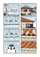 「きょうのスー」より。