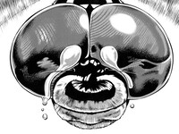 山本英夫による読み切り作品「さよなら身体」より。