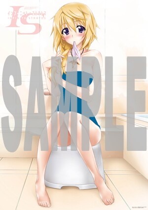 お湯をかけるとタオルが透ける「シャルロット透け透けお風呂ポスター」。