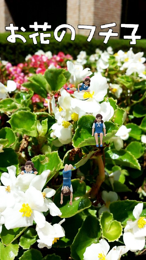 「カメラのフチ子」を使用した写真の例。(C)タナカカツキ/KITANCLUB (C)Imagineer Co., Ltd.