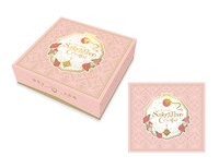 オルゴールが内蔵されたパッケージ。 (c)武内直子・PNP・講談社・東映アニメーション