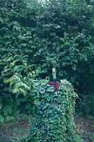 「夏目なりきり帳」の露神。