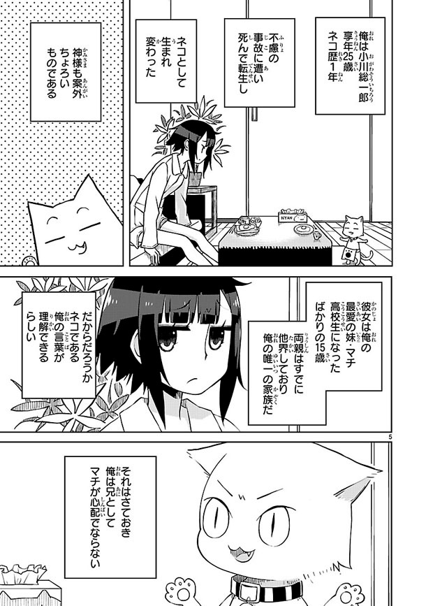 「吾輩は猫であり兄である」より。