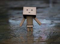 ダンボーの写真。(c)KIYOHIKO AZUMA/YOTUBA SUTAZIO (c)ARIELLE NADEL PHOTOGRAPHY LLC