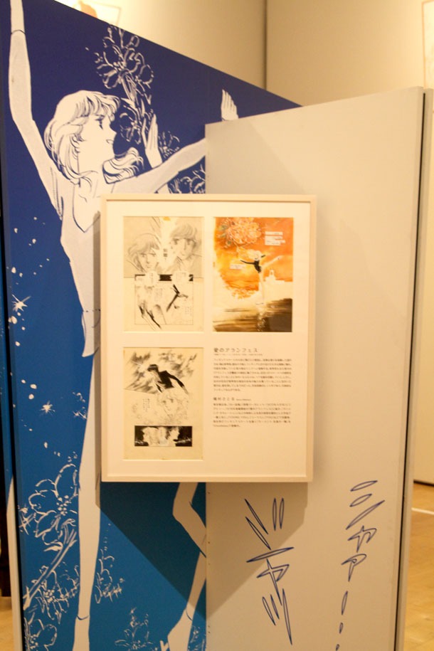 展示の様子。