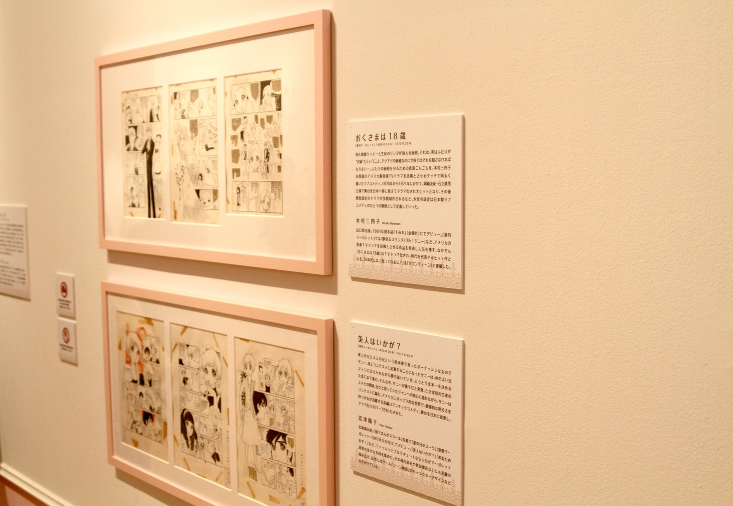 展示の様子。