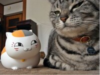 佳作いいムード賞に選ばれた写真。