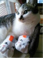 佳作オシャレ賞に選ばれた写真。