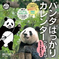 「パンダばっかりカレンダー2015 byしろくまカフェ」の表紙。(c)HIGA ALOHA