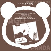 「パンダばっかりカレンダー2015 byしろくまカフェ」より。(c)HIGA ALOHA