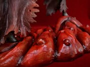 「Skull Knight 2014Ver. 限定II」（C）三浦建太郎(スタジオ我画)/白泉社