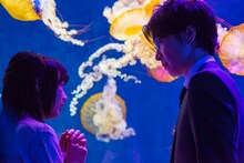 映画「海月姫」場面写真(c)2014映画「海月姫」製作委員会 (c)東村アキコ/講談社