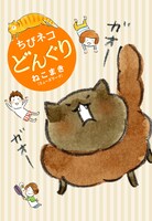 ねこまき（ミューズワーク）「ちびネコ どんぐり」
