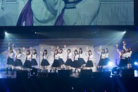 「ネルフェス2014 in 武道館」には乃木坂46も登場。（撮影：設楽光徳）