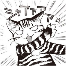 山野りんりんによる描き下ろしイラスト。