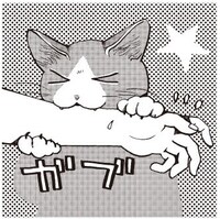 山野りんりんによる描き下ろしイラスト。