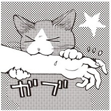 山野りんりんによる描き下ろしイラスト。