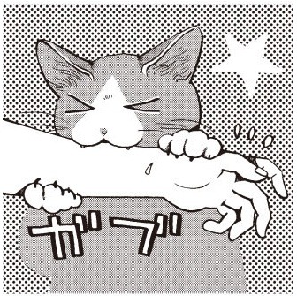山野りんりんによる描き下ろしイラスト。