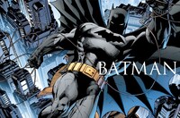 「ICONS：DCコミックス＆ワイルドストーム アート・オブ・ジム・リー」より。TM & (c) 2014 DC Comics. All Rights Reserved.