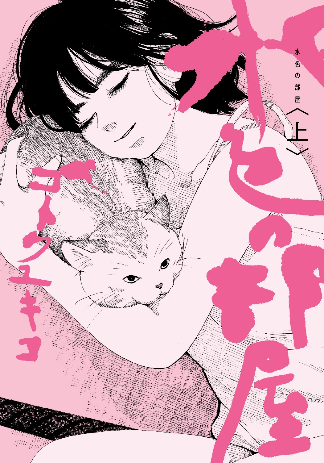 「水色の部屋」上巻。タイトル文字はアラーキーの愛称でおなじみ荒木経惟の手によるもの。