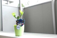 「遊☆戯☆王」シリーズの「ピョコッテ」(c)高橋和希 スタジオ・ダイス／集英社・テレビ東京・NAS