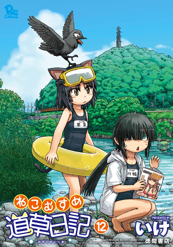 「ねこむすめ道草日記」12巻