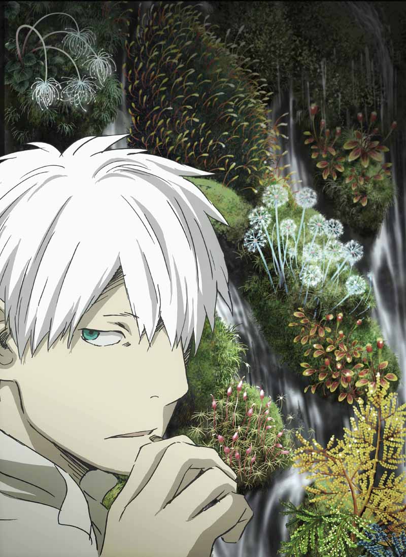 アニメ「蟲師 続章」キービジュアル (c)漆原友紀／講談社・アニプレックス
