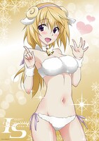 「IS〈インフィニット・ストラトス〉」シャルロット リバーシブルお風呂ポスター（表面）