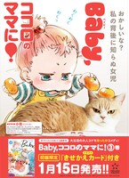 「Baby,ココロのママに！」のココロと「小雪の怒ってなどいない!!」の小雪のコラボポスター。