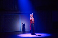 「美少女戦士セーラームーン ～Petite Etrangere～」上海公演初日の様子。（C）武内直子・PNP／ミュージカル「美少女戦士セーラームーン」製作委員会2014