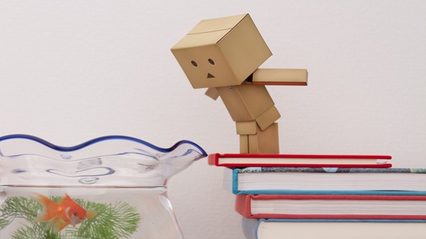 「Le Danboard」より
