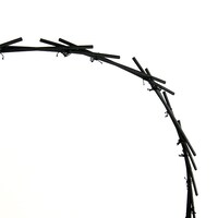 「アップルシードα ドローン南京玉すだれ」