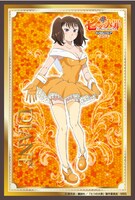 抽選クジ「ホークオーナーズ シャッフルプレゼント」より、D賞「支給（ウェイター） ゴウセルプレゼント賞クリアポストカード」。