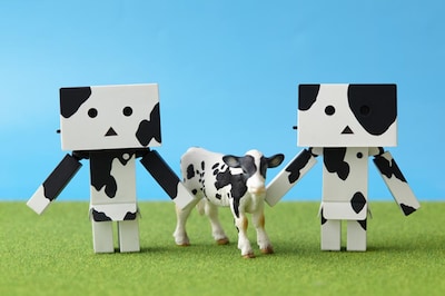 左が「ホルスタイン（白）」、右が「ホルスタイン（黒）」。中央の牛は商品には付属しない。(c)KIYOHIKO AZUMA/YOTUBA SUTAZIO