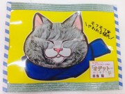 「オデット ODETTE」の書店用POP。