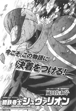 嵐田佐和子「鋼鉄奇士シュヴァリオン」