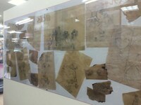 「PandoraHearts」原画展の様子。