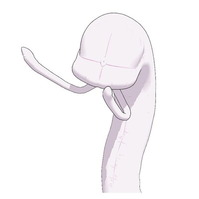 「【MMD】白羽衣つむぎ（小）」