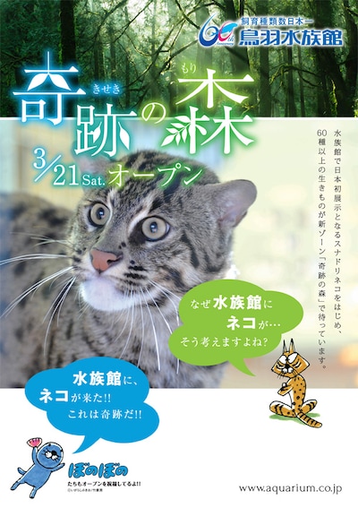 「ぼのぼの」のイラストが使用された鳥羽水族館のチラシ。「なぜ水族館に猫が？」という人は、「奇跡の森」でスナドリネコの生態をチェックしよう。