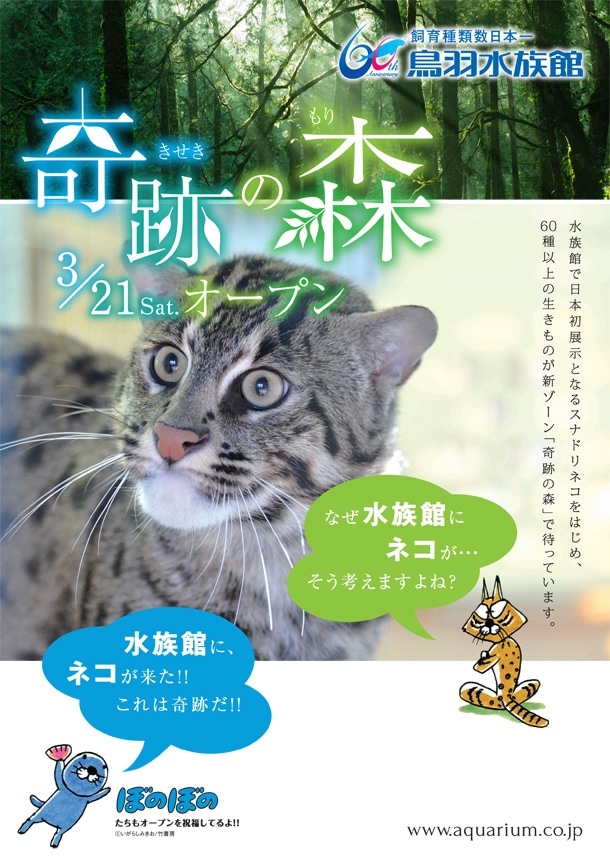 「ぼのぼの」のイラストが使用された鳥羽水族館のチラシ。「なぜ水族館に猫が？」という人は、「奇跡の森」でスナドリネコの生態をチェックしよう。